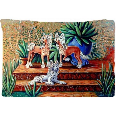 Carolines Treasures Carolines Treasures 7505PILLOWCASE 20.5 x 30 in. Chinese Crested Moisture Wicking Fabric Standard Pillowcase 7505PILLOWCASE